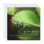 fatfatin Photography | Baby Succulents Invitation
