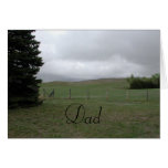 Father's Day Cards