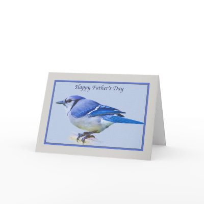 Father's Day for Dad with Blue Jay Bird Greeting Cards by GrandmaDee