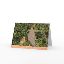 Fathers Day Quail~ Kimberly P-Chadwick Greeting Card