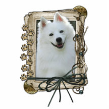 Fathers Day - Stone Paws - American Eskimo Photo Sculpture