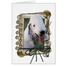 Fathers Day - Stone Paws - Bedlington Terrier Card