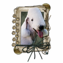 Fathers Day - Stone Paws - Bedlington Terrier Acrylic Cut Out