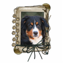 Fathers Day - Stone Paws - Bernese Mountain Dog Photo Sculpture