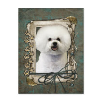 Fathers Day - Stone Paws - Bichon Frise