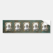 Fathers Day - Stone Paws - Bichon Frise Bumper Sticker