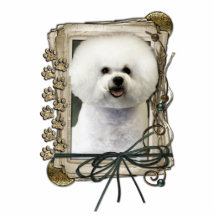 Fathers Day - Stone Paws - Bichon Frise Photo Cut Outs