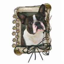 Fathers Day - Stone Paws - Boston Terrier Photo Cut Outs