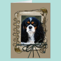 Fathers Day - Stone Paws - Cavalier cards