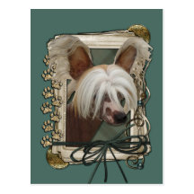 Fathers Day - Stone Paws - Chinese Crested - Jaspe Postcard