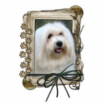 Fathers Day - Stone Paws - Coton de Tulear Cut Out