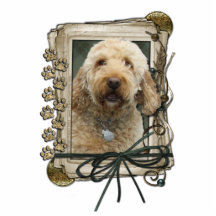 Fathers Day - Stone Paws - GoldenDoodle Acrylic Cut Outs
