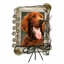 Fathers Day - Stone Paws - Irish Setter Photo Sculptures
