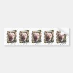 Fathers Day - Stone Paws - Pitbull - Jersey Girl Bumper Stickers