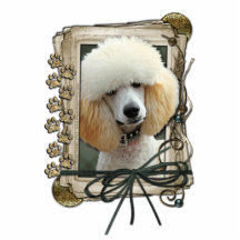 Fathers Day - Stone Paws - Poodle - Apricot Photo Cutouts