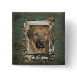 Fathers Day - Stone Paws - Rhodesian Ridgeback Buttons