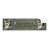 Fathers Day - Stone Paws - Sheltie