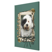 Fathers Day - Stone Paws - Tibetan Terrier Stretched Canvas Prints