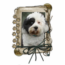 Fathers Day - Stone Paws - Tibetan Terrier Photo Cut Outs