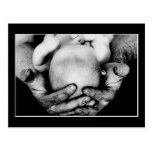 Father's Safe Protecting Hands Post Card