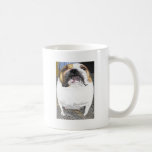 fatty bulldog coffee mugs