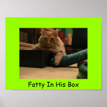 Fatty In His Box Print