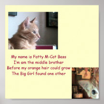 Fatty's Intro Posters