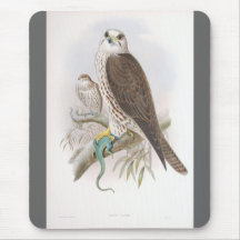 Faucon de Gould - de Saker Tapis De Souris