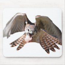 Faucon Mousepad Tapis De Souris