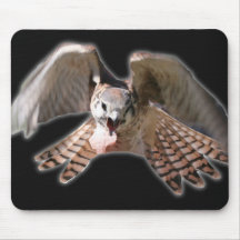 Faucon Mousepad Tapis De Souris