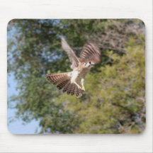 Faucon Mousepad Tapis De Souris