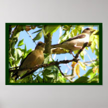 Fauna Print