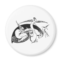 Faust 207 magnets