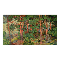 Fauve Landscape, 1910 posters