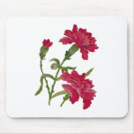 Faux Embroidered Red Carnations