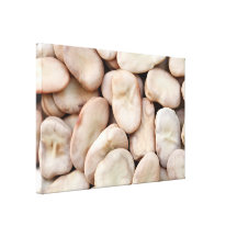 Fava beans stretched canvas prints