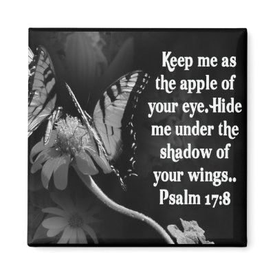 FAVORITE  BIBLE SCRIPTURE PSALM 17:8 by scriptures