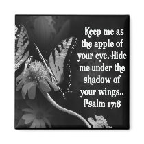 FAVORITE  BIBLE SCRIPTURE PSALM 17:8