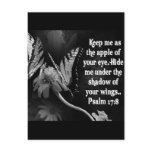 FAVORITE  BIBLE SCRIPTURE PSALM 17:8