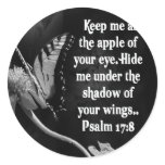 FAVORITE  BIBLE SCRIPTURE PSALM 17:8