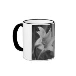 FAVORITE  BIBLE SCRIPTURE PSALM 37:4 MUGS