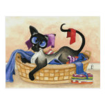 Favourite Blanket Postcard