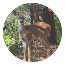 FAWN #2 ROUND STICKERS