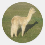 Fawn alpaca round stickers