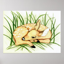 Fawn at Rest Poster
