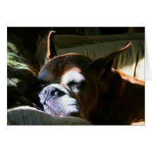 Fawn Boxer Dog greeting card