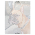 Fawn Boxer Dog letterhead