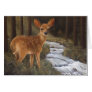 Fawn Card