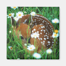 fawn fridge magnet