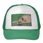 Fawn Great Dane Trucker Hats